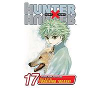 Hunter X Hunter Vol. 17: A Fierce Three-Way Struggle: Volume 17