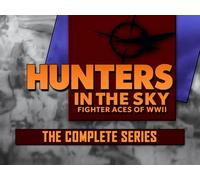 Hunters in the Sky: Fighter Aces of WWII