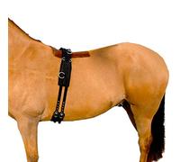 Hunters Saddlery Deluxe Padded Nylon Lunging Belt for Horses - Thoroughbred (Cob)