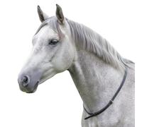 Hunters Saddlery Leather Horse Neck Strap - Adjustable Neck Ring Balance Aid & Safety Strap for Rider - Riding Aid for a Secure Fit Pony, Cob/Full (Black, Cob/Full)