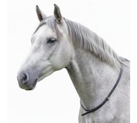 Hunters Saddlery Leather Neck Strap for Horse Riding Balance Pony Cob Full Size Adjustable (Black, Cob/Full)