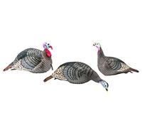 Hunters Specialties 100006 Strut-Lite Flock Decoy, 3-Pack