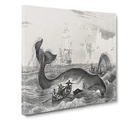 Hunting a Bowhead Whale by Charles d' Orbigny Canvas Print | Gallery Wrapped 30mm Frame Wall Art | 14x14 inches | Ready to Hang | Modern Animals Picture | Living Room Bedroom Lounge Office