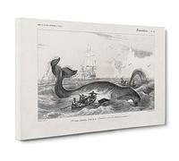 Hunting a Bowhead Whale by Charles d' Orbigny Canvas Print | Gallery Wrapped 30mm Frame Wall Art | 30x20 inches | Ready to Hang | Modern Animals Picture | Living Room Bedroom Lounge Office