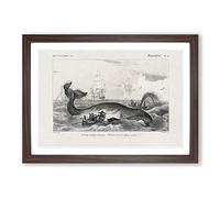 Hunting a Bowhead Whale by Charles d' Orbigny Framed Print | A2 Walnut Framed Wall Art | Ready to Hang | Modern Animal Picture | Living Room Bedroom Lounge Office