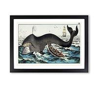 Hunting a Whale Framed Print | A2 Black Framed Wall Art | Ready to Hang | Modern Animal Picture | Living Room Bedroom Lounge Office