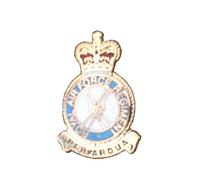 Hunting and Military Store RAF Regiment Lapel Pin Royal Air Force Badge