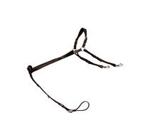 Hunting collar for bridge horse Dy'on