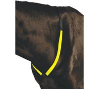 Hunting collar for horse Roma Breastplate