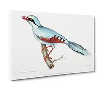 Hunting Crow Bird By John Edward Gray Canvas Print | Gallery Wrapped 30mm Frame Wall Art | 24x16 inches | Ready to Hang | Retro Animals Picture | Living Room Bedroom Lounge Office