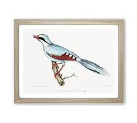 Hunting Crow Bird By John Edward Gray Vintage Framed Print | A4 Oak Framed Wall Art | Ready to Hang | Classic Animal Picture | Living Room Bedroom Lounge Office