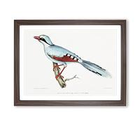 Hunting Crow Bird By John Edward Gray Vintage Framed Wall Art Print, Ready to Hang Picture for Living Room Bedroom Home Office Décor, Walnut A2 (64 x 46 cm)