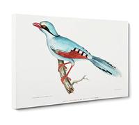 Hunting Crow by John Edward Gray Canvas Print | Gallery Wrapped 30mm Frame Wall Art | 30x20 inches | Ready to Hang | Modern Picture | Living Room Bedroom Lounge Office