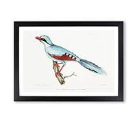 Hunting Crow by John Edward Gray Framed Print | A2 Black Framed Wall Art | Ready to Hang | Modern Animal Picture | Living Room Bedroom Lounge Office