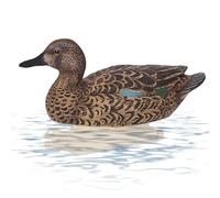 Hunting Duck Decoys - Duck Decoy Garden Decor | Ultra Realistic Floating Hunting Ducks - Garrden Decor Waterfowl Mallard, Ultra Realistic Floating Huntting Ducck Decoys Gaarden Decorating Lake Huntii