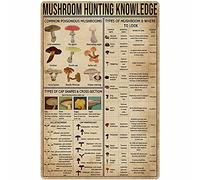 Hunting Knowledge Metal Tin Sign Mushroom South Poster Farm Plant Garden Flower Shop Club Wall Decoration Plaque 8x12 Inches