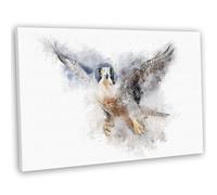 Hunting Peregrine Falcon Watercolour Style Canvas Print Framed British Bird Wall Art Picture (51x36cm / 20x14inch)