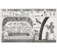 Hunting wild geese in ancient Egypt using a type of net. After a painting in the subterranean temples of Beni-Hassan. From The Universe or The Infinitely Great and the Infinitely Little published 1882