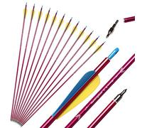 Huntingdoor 12 Pcs 31" Aluminium Arrows Archery Hunting Arrow with Removable Tips Target Practice Arrows for Compound Bow Recurve Bow Longbow(red)