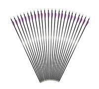 Huntingdoor 31" Carbon Arrow 350 Spine Archery Hunting Arrows with 100 Grain Screw in Tips Target Arrow for Recurve Bow Compound Bow