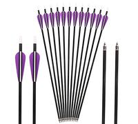 Huntingdoor 31" Carbon Arrow for Archery 350 Spine Hunting Arrows with 100 Grain Screw in Tips Target Arrow for Recurve Bow Compound Bow