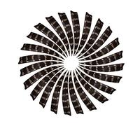 Huntingdoor 4 or 5 Inches Right Wing Arrows Feather Peltate Turkey Feathers for Archery Arrows Pheasant Feathers for DIY Arrows Fletching (Nature, 4inch)