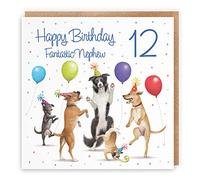 Hunts England - 12th Nephew Birthday Card - Dancing Dogs - Fantastic Nephew - Age 12 - Funny Boy's 12th Birthday Card - Milo's Gallery - Age Twelve