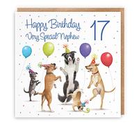 Hunts England - 17th Nephew Birthday Card - Dancing Dogs - Very Special Nephew - Age 17 - Funny Boy's 17th Birthday Card - Milo's Gallery - Age Seventeen