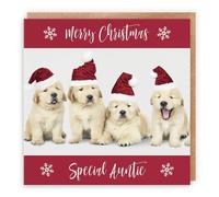 Hunts England - Auntie Christmas Card - Special Auntie - Puppy Collection