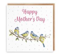 Hunts England - Blue Tits Funny Mother's Day Card - Milo's Gallery - Wildlife Mother's Day Card - Happy Mother's Day Card For Animal Lovers, Women, Mum, Grandma
