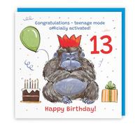 Hunts England Boys 13th Birthday Card Grumpy Gorilla Funny Cheeky | Animal Party, Funny, Animal, Colourful, Fun, Thirteen, Age 13, Male, For Him, Kids, Children, 14.5 x 14.5 cm