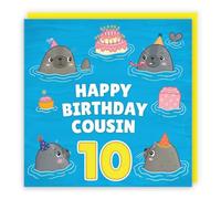 Hunts England - Cousin 10th Boys/Girls Cute Seals Birthday Card - Happy Birthday - Cousin - 10 - Children's/Kids Card - Seals At A Party - Ocean Collection