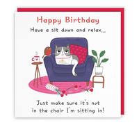 Hunts England - Funny Cat Birthday Card For Him/Her - Happy Birthday - Have A Sit Down And Relax... - For Mum, Dad, Sister, Friend, Auntie, Cousin, Girlfriend, Wife, Husband, etc. - Iconic