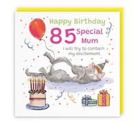 Hunts England - Funny Mum 85th Birthday Card - Sleepy Cat - Cake, Colourful, Presents, Balloon - Eighty Five, Age 85 - Female, For Her, Women - Animal Party - 14.5 x 14.5 cm