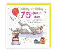 Hunts England - Funny Nan 75th Birthday Card - Sleepy Cat - Cake, Colourful, Presents, Balloon - Seventy Five, Age 75 - Female, For Her, Women - Animal Party - 14.5 x 14.5 cm