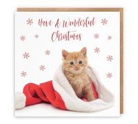 Hunts England - Individual Christmas Card - Have A Wonderful Christmas - Kitten Collection