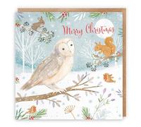 Hunts England - Merry Christmas Owl Family Fun Card For Boys, Girls, Men, Women - Nature's Treasures - For Kids, Children, Adults - Happy Animal Wildlife Xmas Card - Robin, Mouse, Squirrel