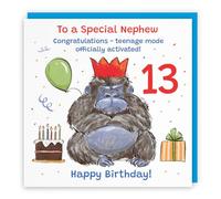 Hunts England Nephew 13th Birthday Card Grumpy Gorilla Funny Cheeky | Animal Party, Funny, Animal, Colourful, Fun, Thirteen, Age 13, Male, For Him, Boys, Kids, Children, 14.5 x 14.5 cm