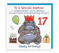 Hunts England Nephew 17th Birthday Card Grumpy Gorilla Funny Cheeky | Animal Party, Funny, Animal, Colourful, Fun, Seventeen, Age 17, Male, For Him, Boys, Kids, Children, 14.5 x 14.5 cm