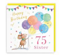 Hunts England Sister 75th Birthday Card Colourful Balloons Gold Foil Cute | Little Whiskers, Artistic, Cute, Stars, Cheerful, Fun, Seventy Five, Age 75, Female, For Her, Women, 14.5 x 14.5 cm