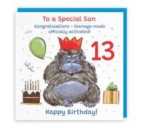 Hunts England Son 13th Birthday Card Grumpy Gorilla Funny Cheeky | Animal Party, Funny, Animal, Colourful, Fun, Thirteen, Age 13, Male, For Him, Boys, Kids, Children, 14.5 x 14.5 cm