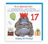 Hunts England Son 17th Birthday Card Grumpy Gorilla Funny Cheeky | Animal Party, Funny, Animal, Colourful, Fun, Seventeen, Age 17, Male, For Him, Boys, Kids, Children, 14.5 x 14.5 cm