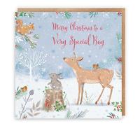 Hunts England - Special Boy Cute Deer Christmas Card - Nature's Treasures - Happy Animal Wildlife Fun Merry Xmas Card - For Boy, Him, Child, Male - Robin, Rabbit, Squirrel