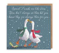 Hunts England Special Friends Christmas Card - Special Friends Are Like Stars You Don't Always See Them But You Know They Are Always There For You - Festive Geese - Milo's Gallery Collection