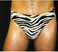 Hunx and His Punx - Gay Singles