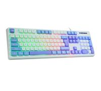 HUO JI Wired Gaming Keyboard with Rainbow LED Backlit, Floating Keys, Mechanical Feeling, Spill Resistant, Ergonomic Full Size for Xbox, PS Series, Desktop, Computer, PC (White Blue)