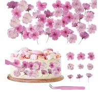 HUOMAQFAN 72PCS Pink Natural Dried Pressed Edible Flowers, Cherry Blossoms