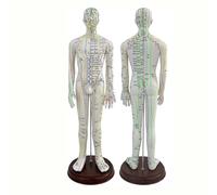 HUOYALU 52cm Acupuncture Mannequin, with English Acupuncture Point Marks, for Student Teaching Demonstration,Female