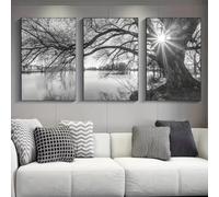 HURCP Set Of 3 Canvas Poster Black White Gray Stunning Big Tree Lake Sunset Nature Landscape Study Wall Art Prints Gift Bedroom Living Room Dorm Gallery Corridor Decor Picture,A2 (42X60CM)