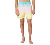 Hurley Boardshort Mens - Cannonball Volley 17"